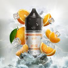 Flavour Beast Salt Nic E-juice
