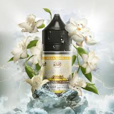 Flavour Beast Salt Nic E-juice