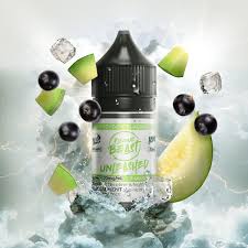Flavour Beast Salt Nic E-juice