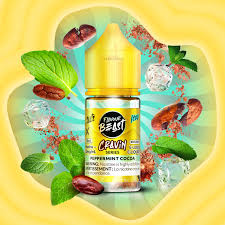 Flavour Beast Salt Nic E-juice
