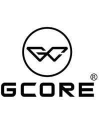 Gcore Salt Nic E-juice