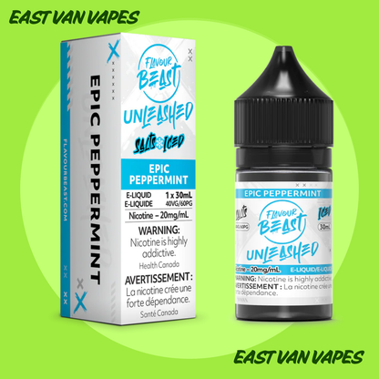 Flavour Beast Salt Nic E-juice