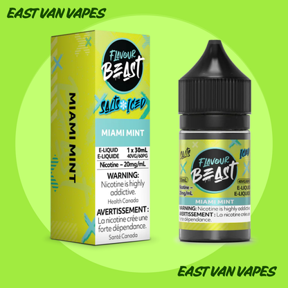 Flavour Beast Salt Nic E-juice