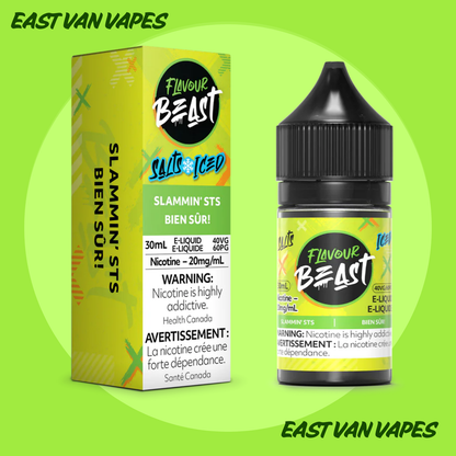 Flavour Beast Salt Nic E-juice