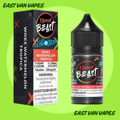 Flavour Beast Salt Nic E-juice