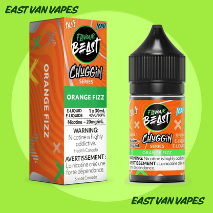 Flavour Beast Salt Nic E-juice